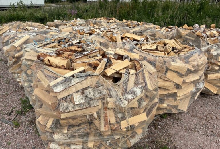 Premium Dry Birch Firewood – 200 m³ – €50/m³